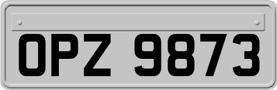 OPZ9873
