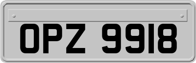 OPZ9918
