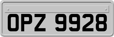 OPZ9928