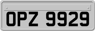 OPZ9929