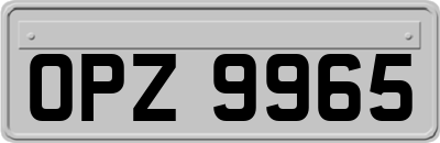 OPZ9965
