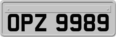 OPZ9989