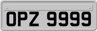OPZ9999