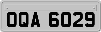 OQA6029
