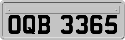 OQB3365