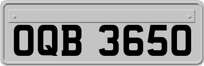 OQB3650