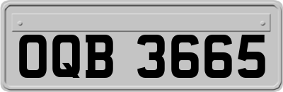 OQB3665