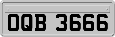 OQB3666