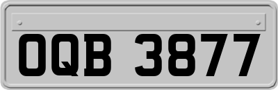 OQB3877