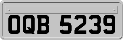 OQB5239