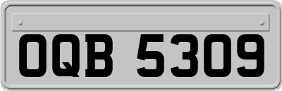 OQB5309