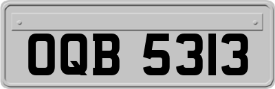 OQB5313