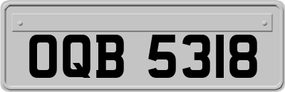 OQB5318