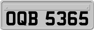 OQB5365