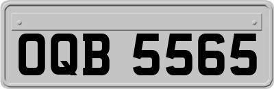 OQB5565