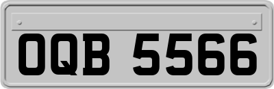OQB5566