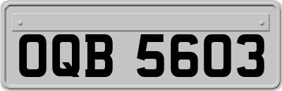 OQB5603