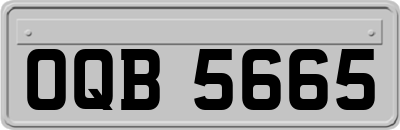 OQB5665