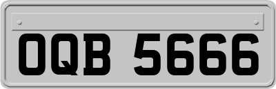 OQB5666