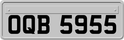 OQB5955