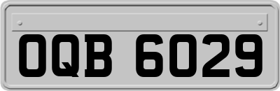 OQB6029