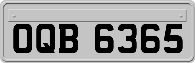 OQB6365