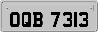 OQB7313