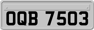 OQB7503