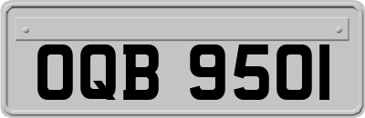 OQB9501