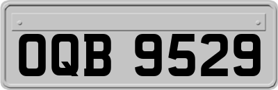 OQB9529