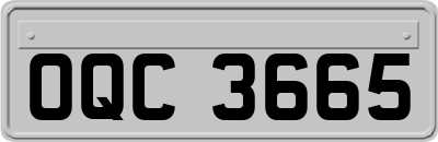 OQC3665