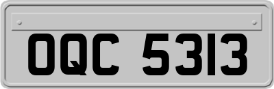OQC5313