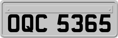 OQC5365