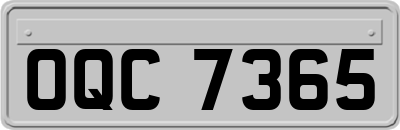 OQC7365