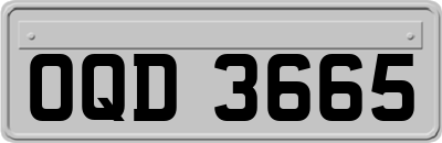 OQD3665
