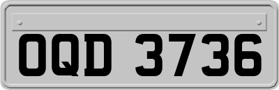 OQD3736
