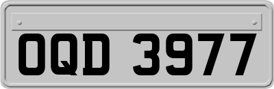 OQD3977