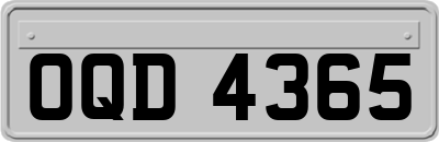 OQD4365