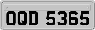 OQD5365