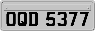 OQD5377