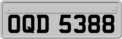 OQD5388