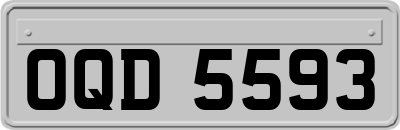 OQD5593
