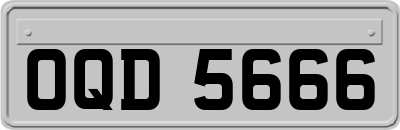 OQD5666