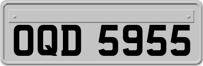 OQD5955