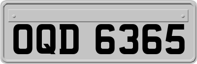 OQD6365