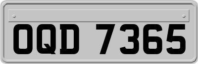 OQD7365