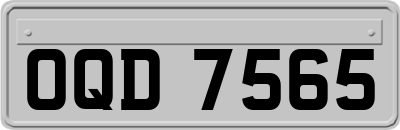 OQD7565