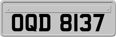 OQD8137