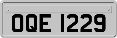 OQE1229