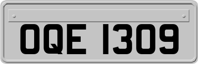 OQE1309